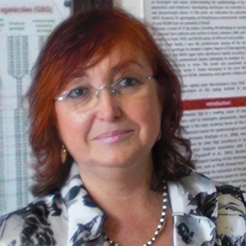 Lucia Martins Teixeira