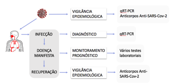 Coronavírus: Exame de PCR para COVID-19 no RJ